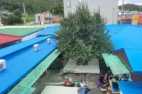 Taean Mammose Pension