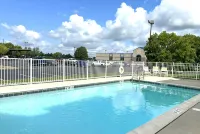 La Quinta Inn & Suites by Wyndham Collinsville - St. Louis - Pools