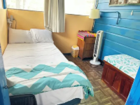 Howler Jungle House Hotéis em 