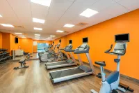Holiday Inn Express & Suites GREENVILLE SE - SIMPSONVILLE by IHG - Kuntosalit