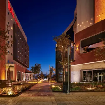 Ibis Torreón