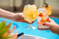 Sol Guadalupe - bar