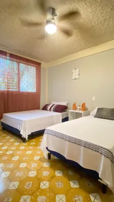 マウンテンビュー ホステル のホテル