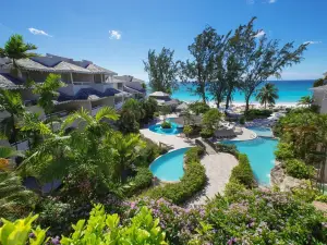 Bougainvillea Barbados