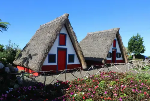 House Villa Butterfly