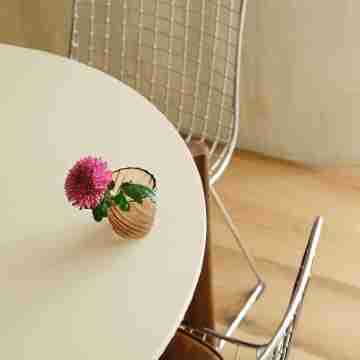 Enea Living Dining/Meeting Rooms