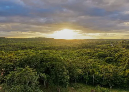 Hotel El Paraíso Calakmul Hotels in Xpujil