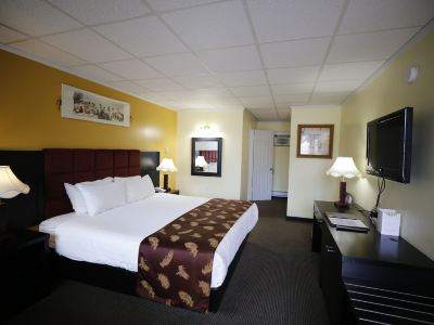 Alpine Inn & Suites
