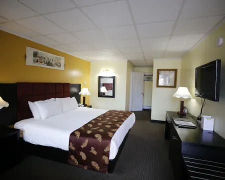 Alpine Inn & Suites Hotels in Revelstoke