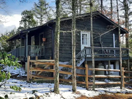 Cottage in Linville Land Harbor- Come Play in the Snow!