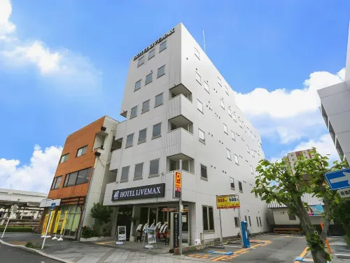 HOTEL LiVEMAX BUDGET Fuji Ekimae - 3-Star