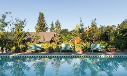 Le Petit Pali St Helena