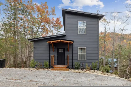 Green & Black Bear Cabins by Beyond Expectations