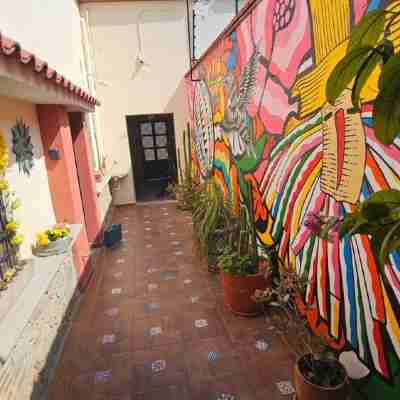 AMPLIO DEPARTAMENTO 2 PERSONAS EN EL CORAZON DE OAXACA, RECIEN REMODELADO Others