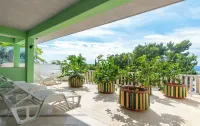 Apartments Mirko - Homestays
