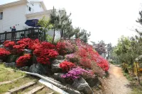 Taean Blueberry Pension - Ramah Hewan Peliharaan
