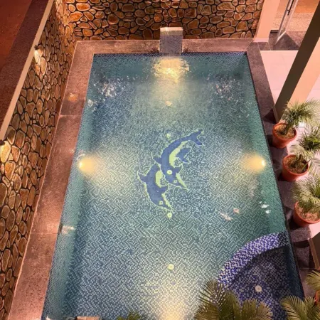 Hotel Pushkar Pulse