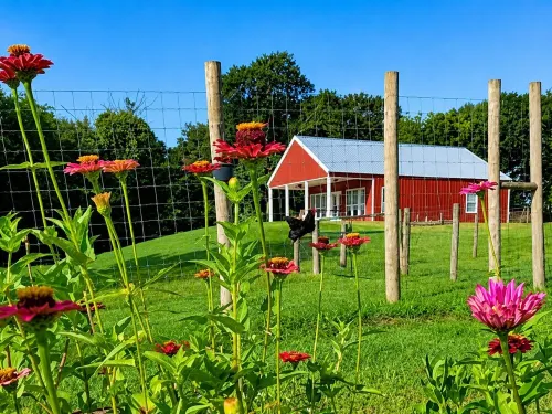 Country living in new 2bdrm/2bth farmhouse in lovely Chappell Hill with WiFi, AC - Homestays