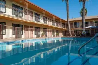 Studio City Court Yard Hotel - Pool
