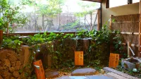 Club Wyndham Chikumakan Nagano - 3-Star