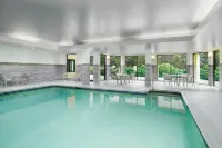 Courtyard by Marriott Manchester-Boston Regional Airport - プール