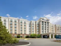 SpringHill Suites by Marriott Newark International Airport Hotels near Newark Liberty International Airport
