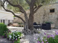 Villa Manoe - Pet friendly