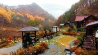 정선통나무펜션 정선역 주변 호텔