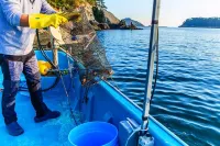 Tongyeong Daon Pension