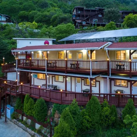Gurye Dandelion Travel Pension