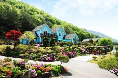 Pyeongchang Whistle Stop Pension Hotels in 
