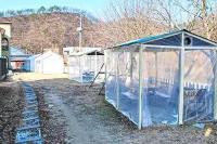 Wonju Oak Alley Pension โรงแรมใกล้สนามกอล์ฟโอ๊ควัลเลย์ รีสอร์ท