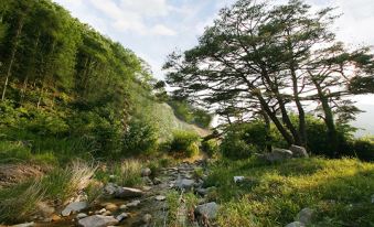 Mungyeong Fox Pension