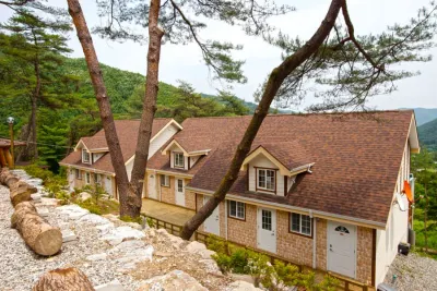 Wonju Sarichi Land in Forest Pension