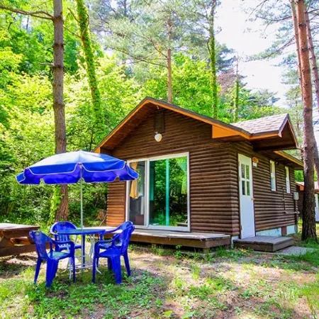 Forest House