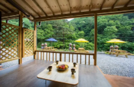 旌善螢火蟲明亮黏土旅館