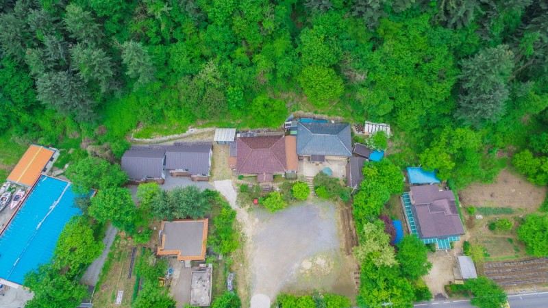 파인휴펜션 소나무 숲 전경