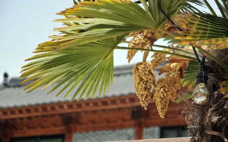 Tongyeong Happy Sea Pension Отели в г. Тхонъён