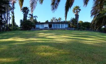 Nikau Apartments Waiheke Island