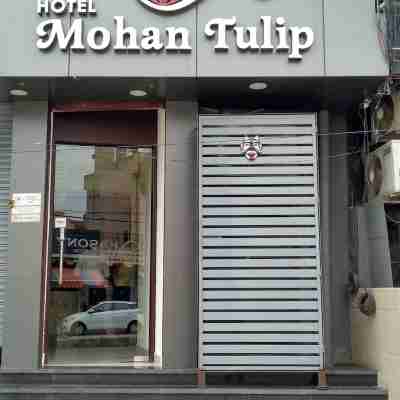 Mohan Tulip Hotel Hotel Exterior