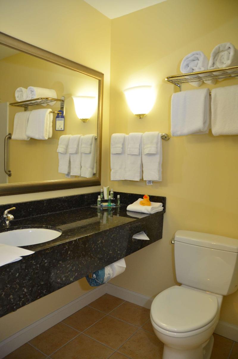 Best Western Plus Vineyard Inn & Suites