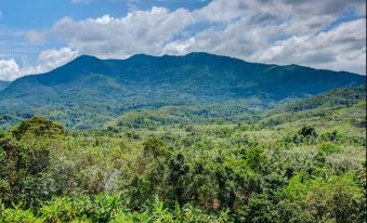 JK Residency Kelakam