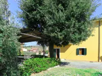 Castagno