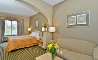 Comfort Inn & Suites Sacramento - University Area