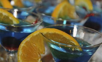 Hotel Indigo Chicago-Vernon Hills