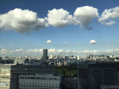 ホテル周辺 小田急ホテルセンチュリーサザンタワーの写真