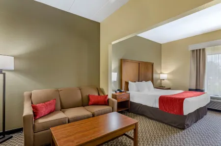 Comfort Inn Отели в г. Стьюартс Драфт