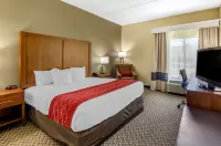 Comfort Inn Hotels in Waynesboro