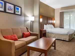 Comfort Suites Clayton - Garner