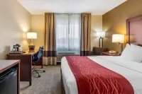 Comfort Inn Hotels in Great Falls